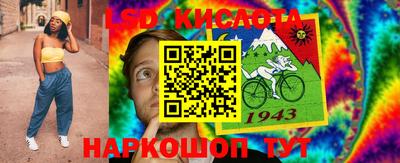 СК Кандалакша