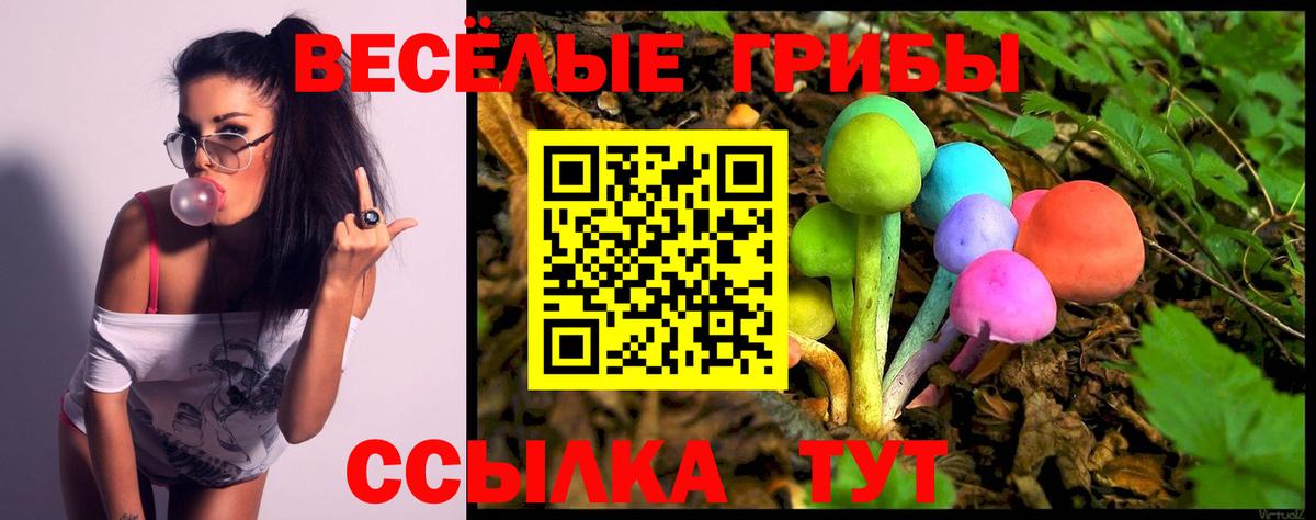 Дзержинский  Псилоцибиновые грибы ЛСД  Псилоцибиновые грибы мухоморы  Вход с VPN 